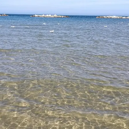 Le Dune 200m Dal Mare Parcheggio Gratis Ac Vicino Fiera Di Rimini